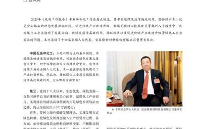 打破傳統(tǒng)走綠色轉(zhuǎn)型之路——訪十四屆全國人大代表、寶泰隆新材料股份有限公司董事長焦云